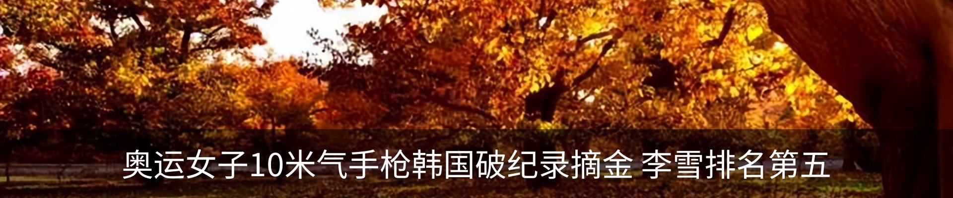 最新动态