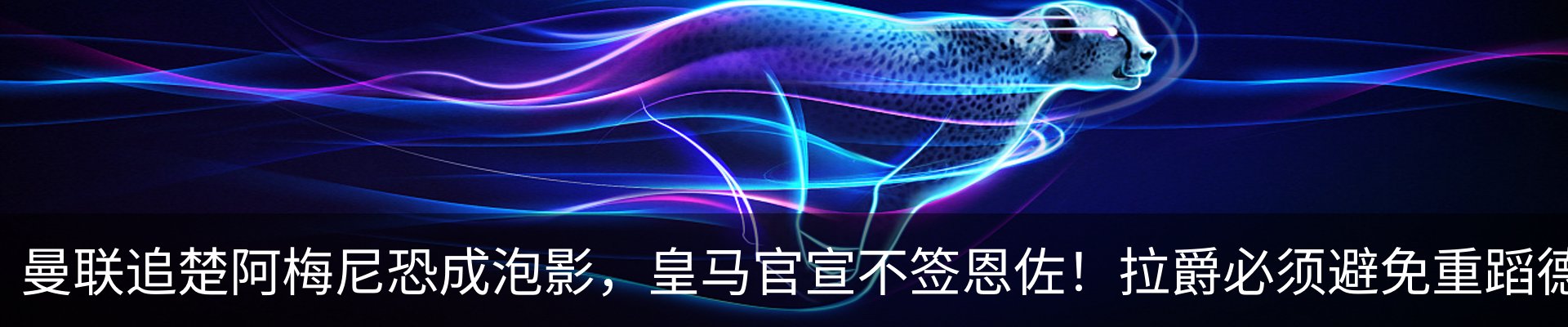 最新动态