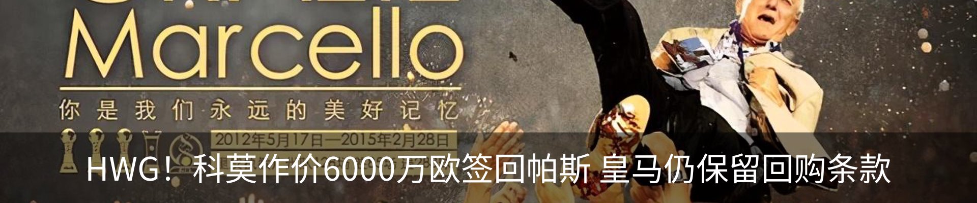 最新动态